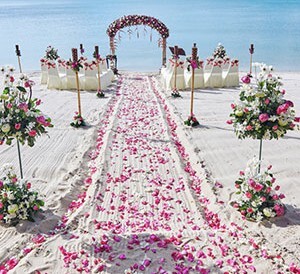 Wedding planner Wedding planner